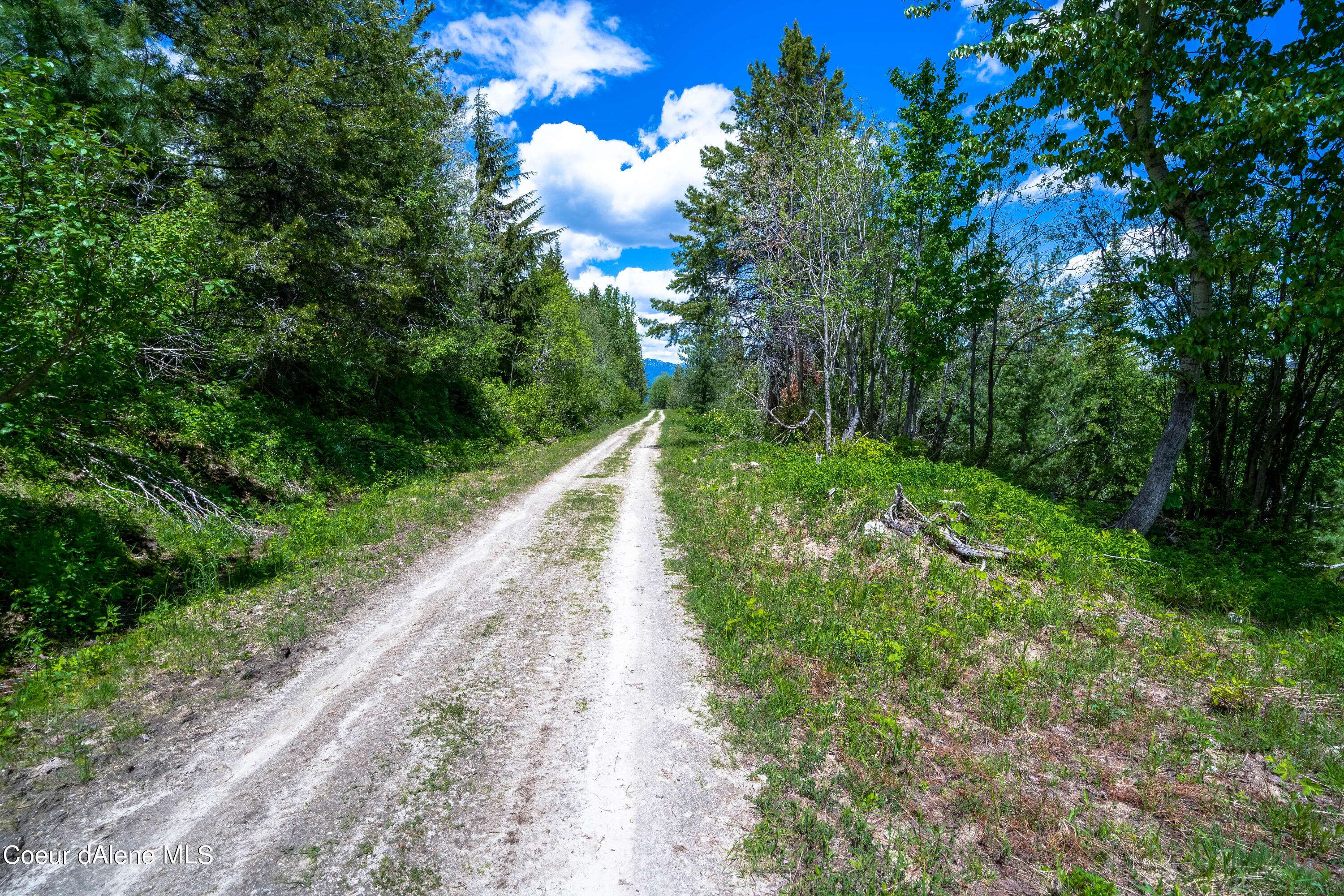 Sandpoint, ID 83864,NKA 160 acres Jeru Creek Rd 293