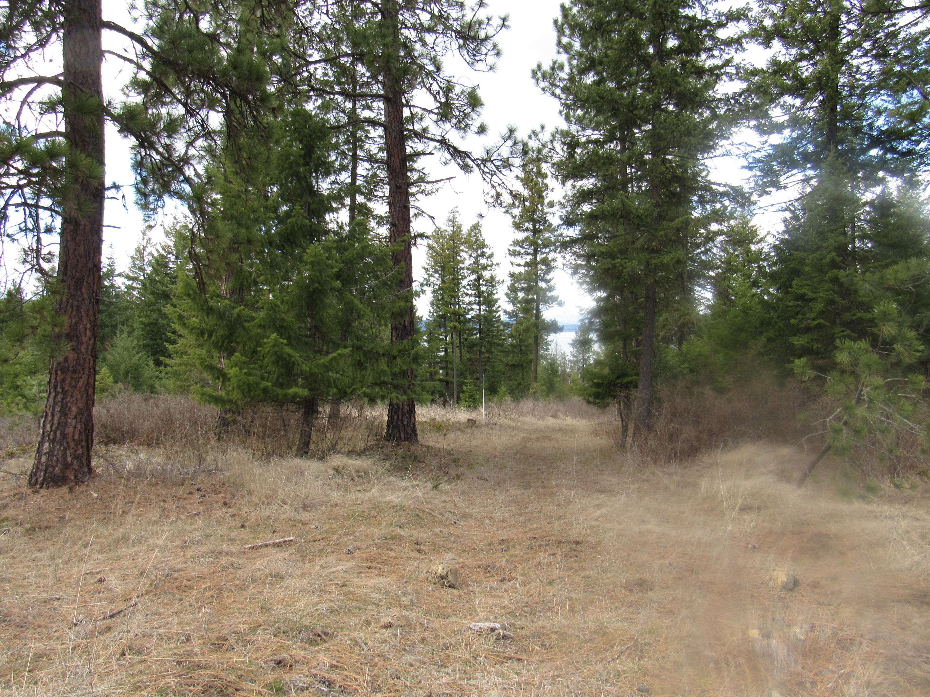 Harrison, ID 83833,Lot 5 Mariposa Ct