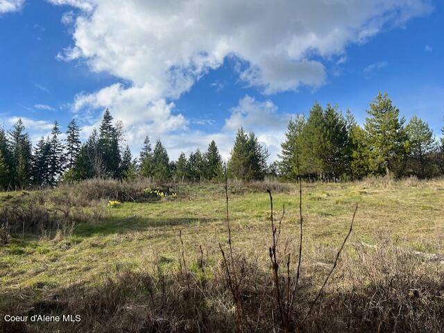 Fernwood, ID 83830,630 Willow Loop