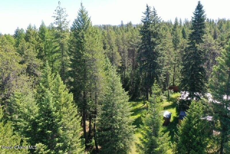 Sagle, ID 83860,236 Laura Ln