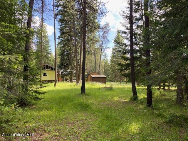 Sagle, ID 83860,236 Laura Ln