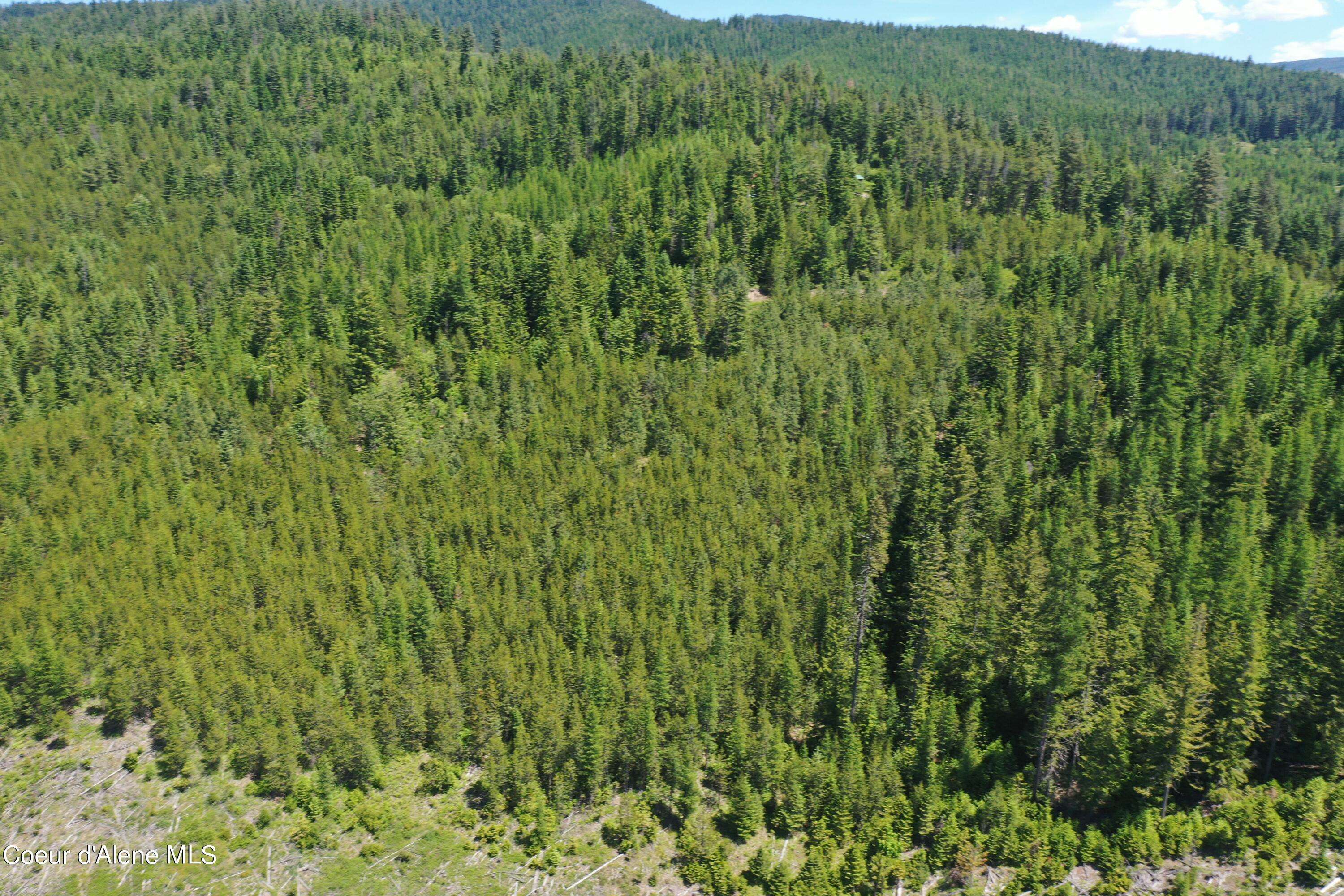 Fernwood, ID 83830,NKA Parcel 00 Cristal Peak Rd.