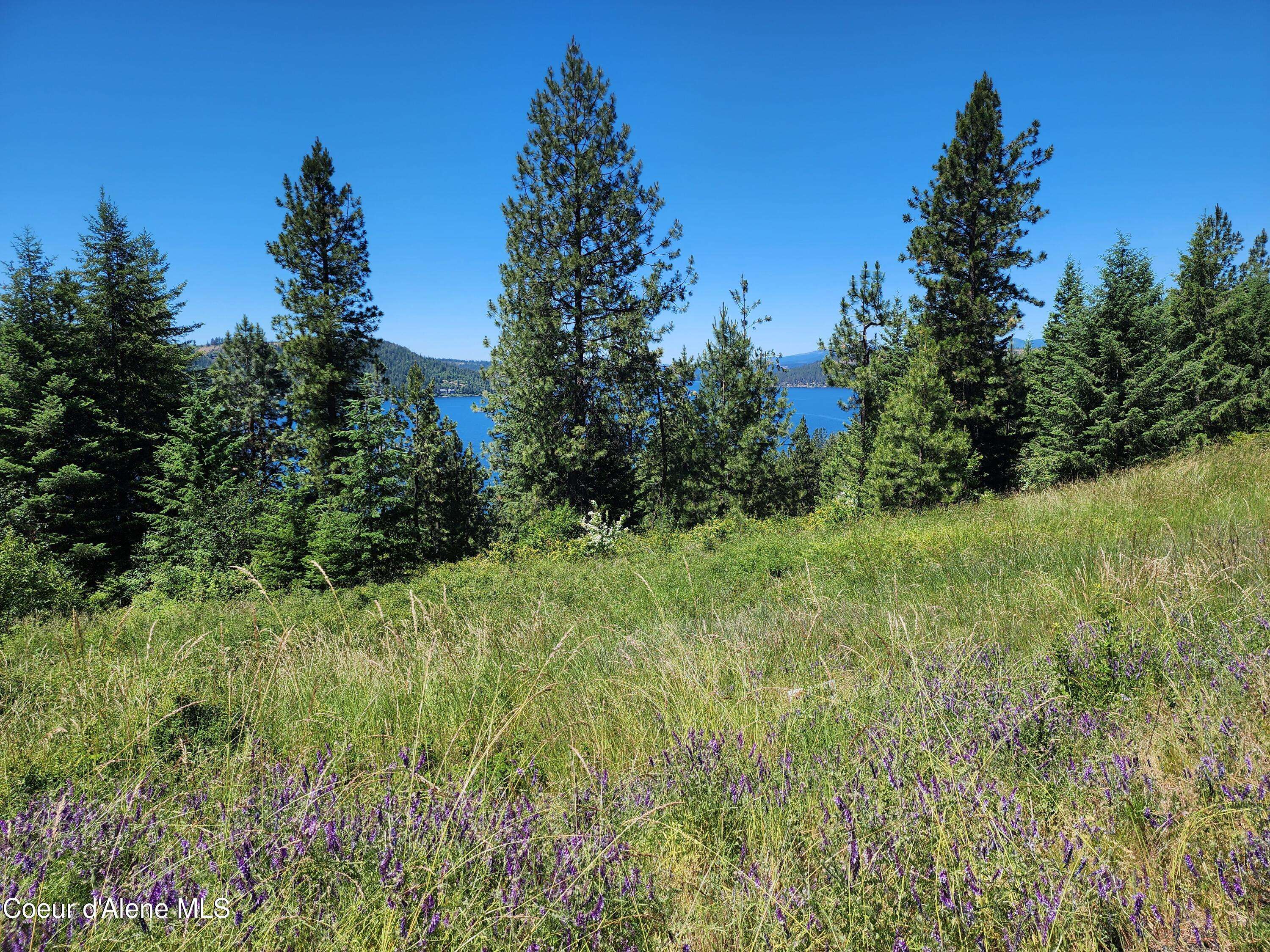 Harrison, ID 83833,Lt 12 Blk2 Empty Nest Ln