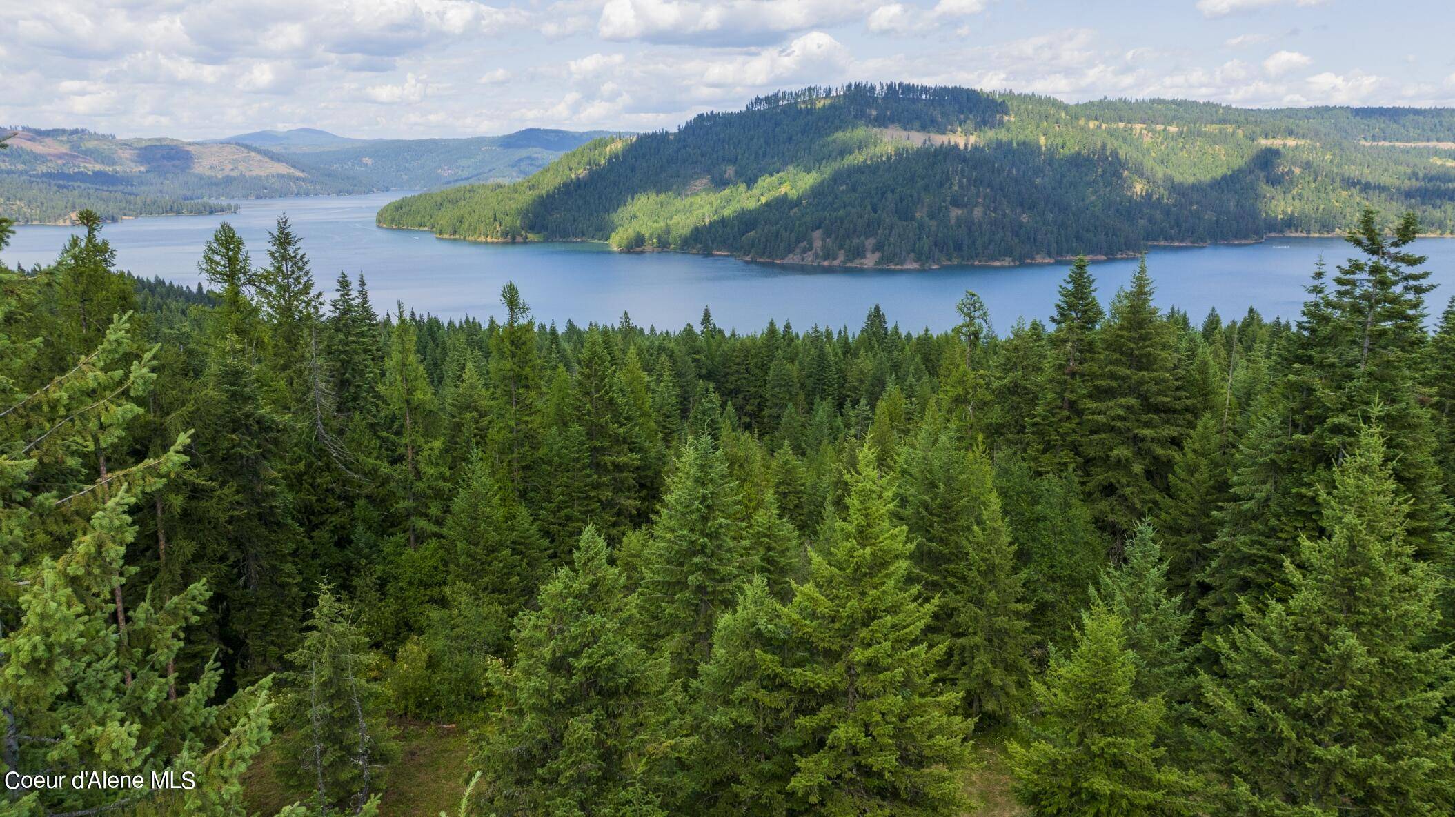 Kendrick, ID 83537,7362 S Dicks Creek Rd