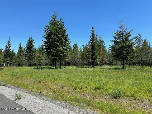 Rathdrum, ID 83858,NNA Ranch View DR #Lot 3