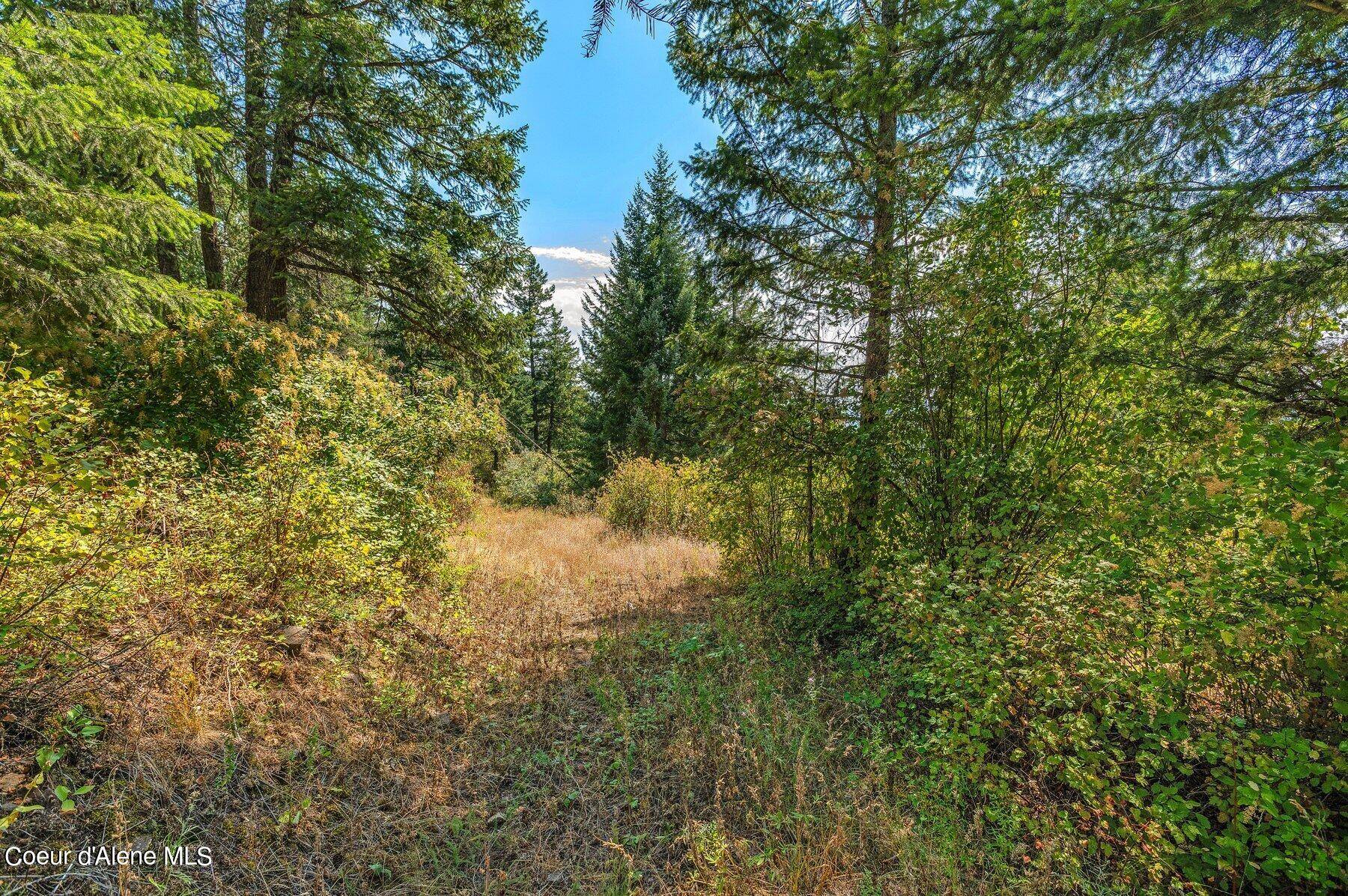 Sandpoint, ID 83864,NNA E27 Wildridge Way