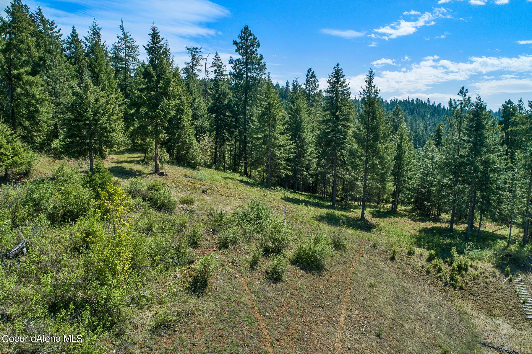 Harrison, ID 83833,Lot 149 Gadwell