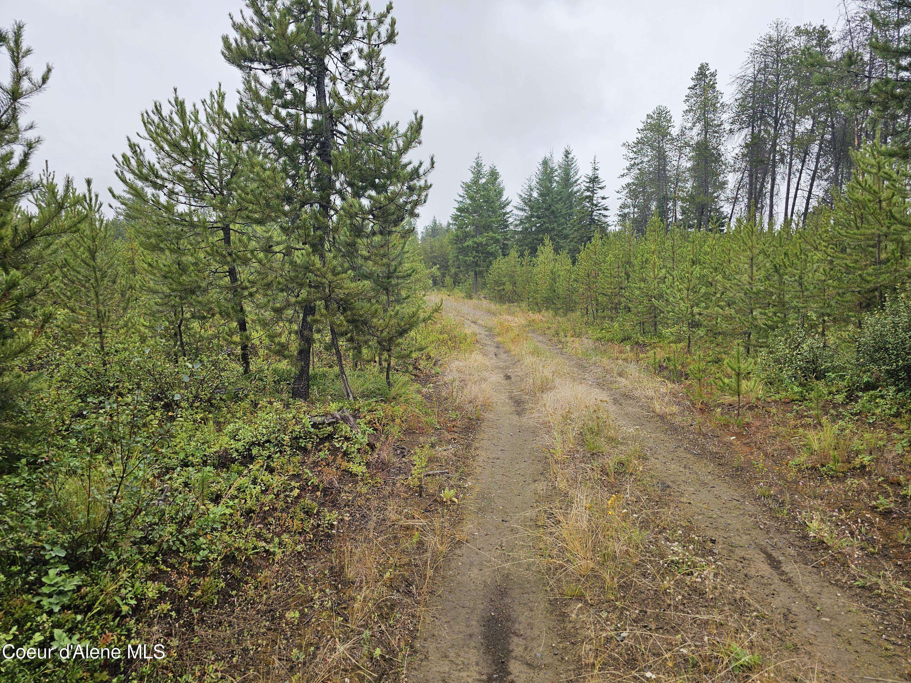 Athol, ID 83801,NKA Fremont St