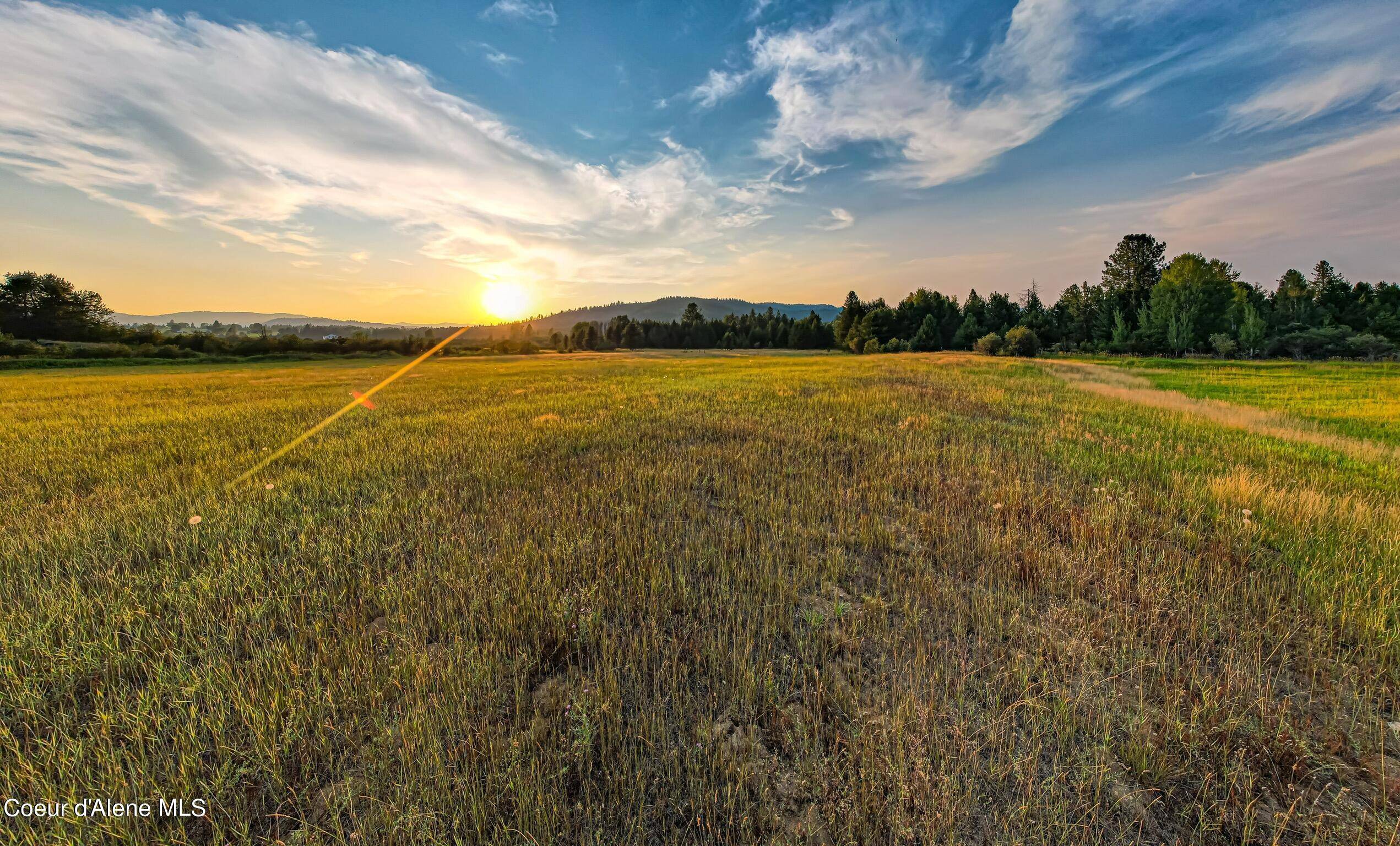 Priest River, ID 83856,E 50+/- Acres Peninsula Road