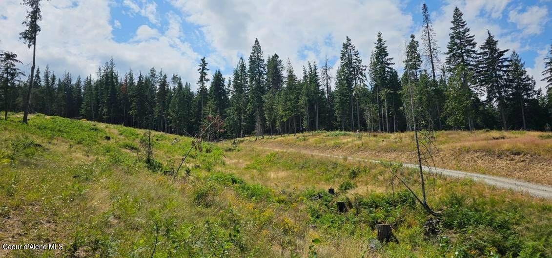 Kingston, ID 83839,Lot 2 Of the replat of Lot 2 Blk 1