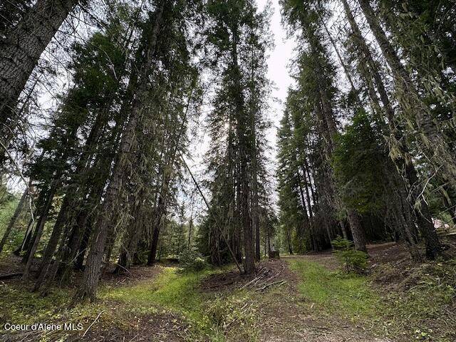 Fernwood, ID 83830,122 Sapling Lane