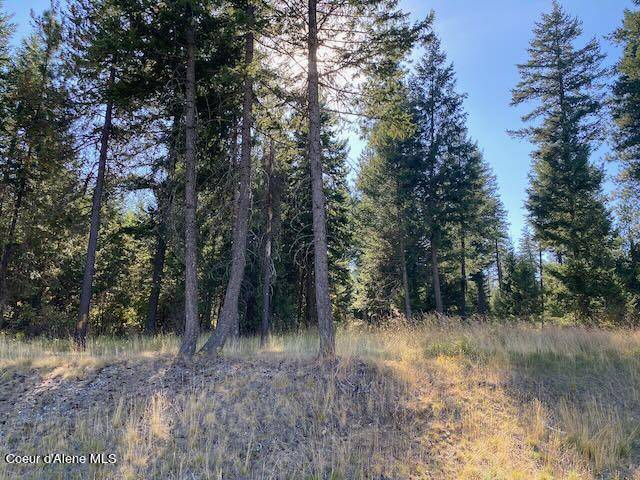 Rathdrum, ID 83858,L4B10 N Walden Loop