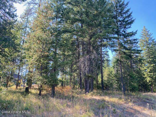 Rathdrum, ID 83858,L4B10 N Walden Loop