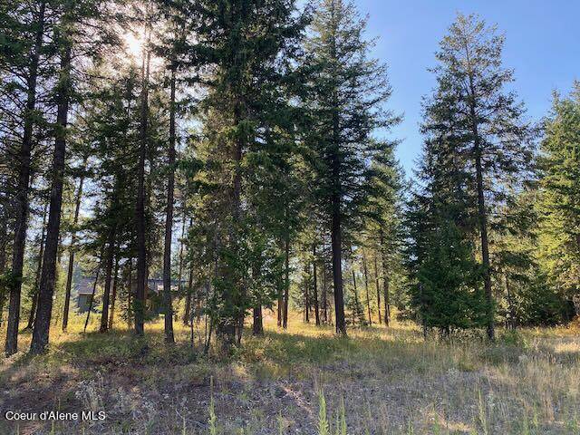 Rathdrum, ID 83858,L4B10 N Walden Loop