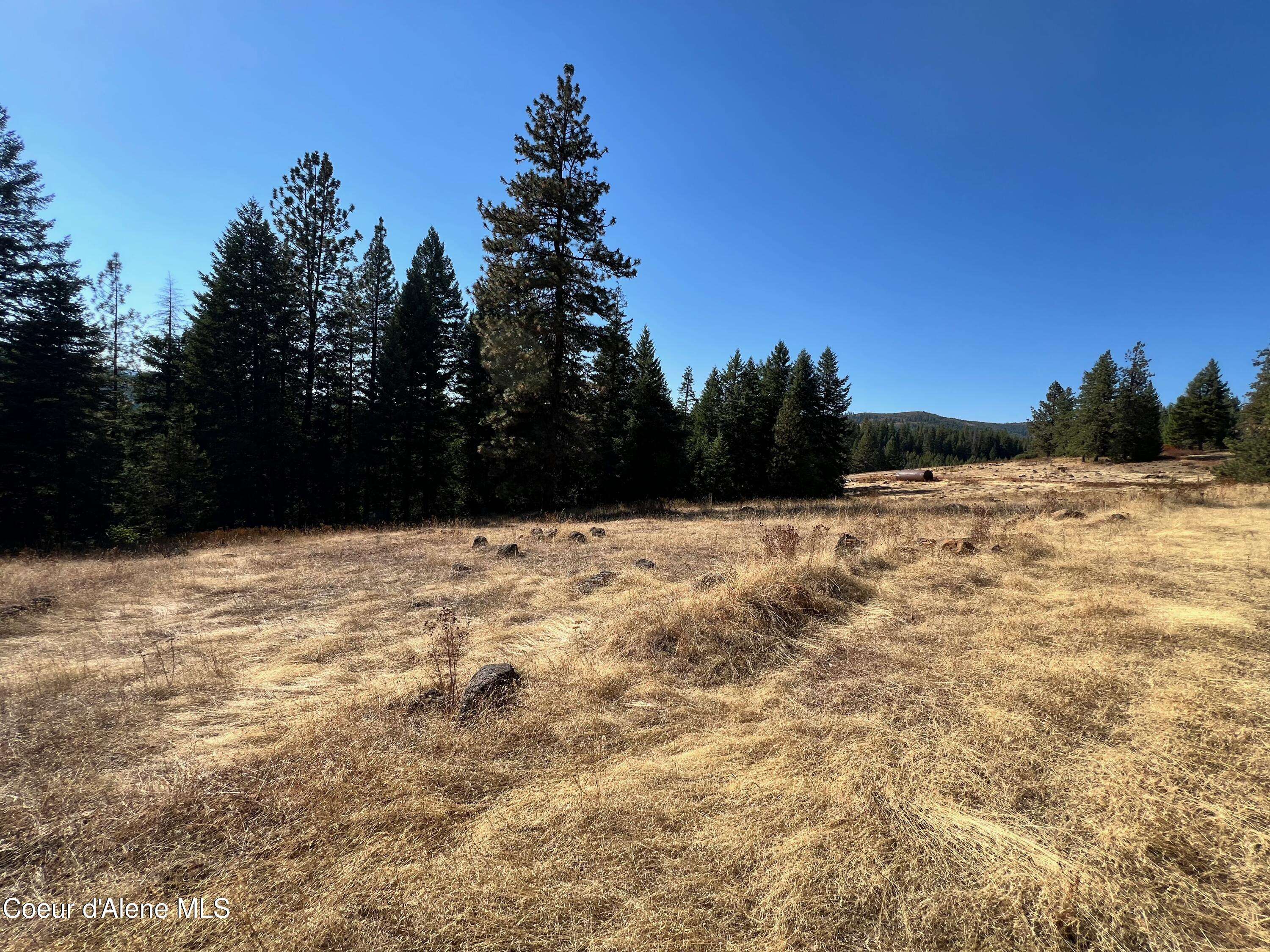 St. Maries, ID 83861,NKA Birch Dr