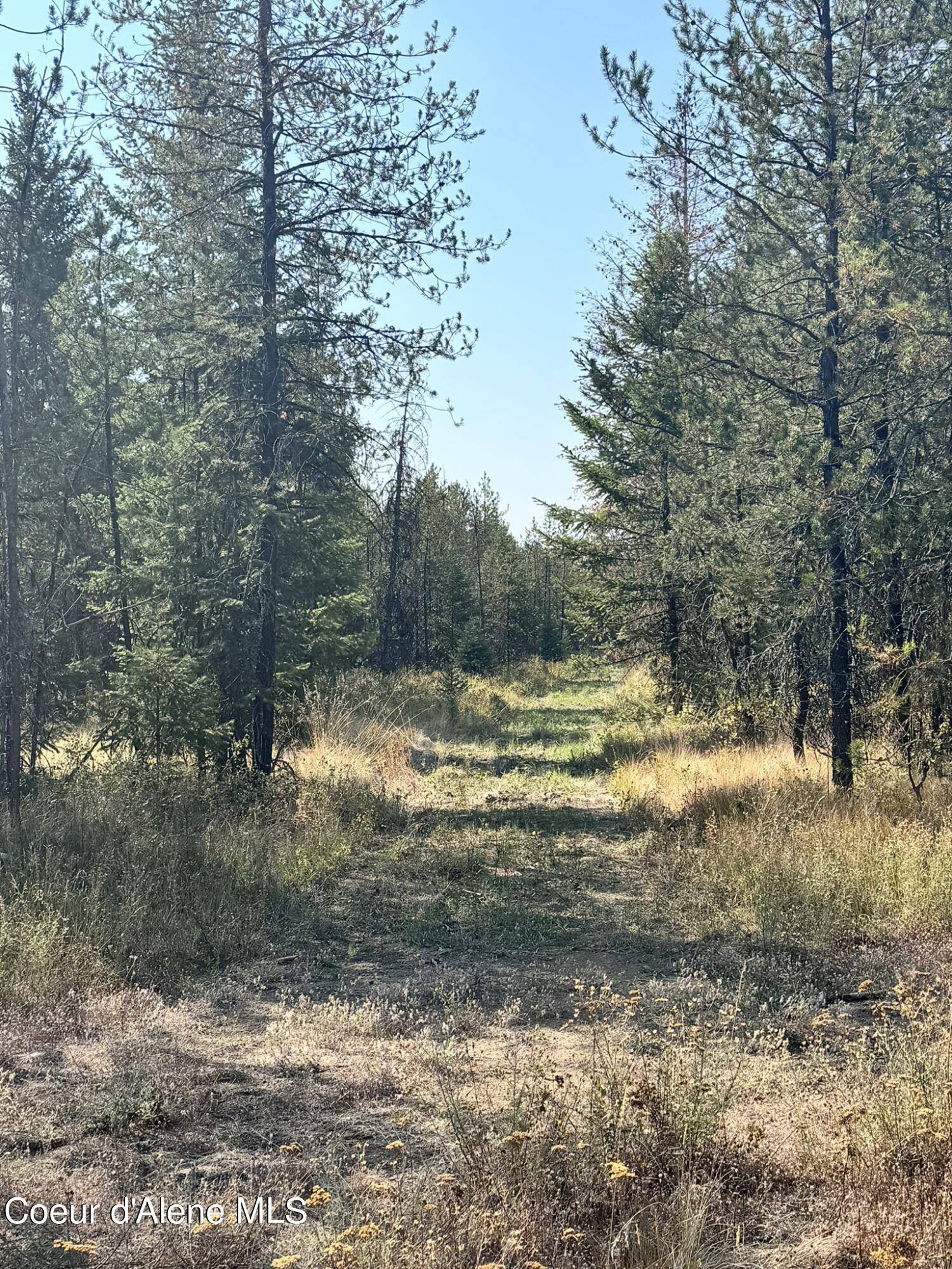 Priest River, ID 83856,NNA 10acs Sky Meadow, Stone Pine Rd