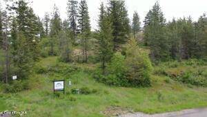 Rathdrum, ID 83858,Lot3 Blk5 Spiral Ridge TRL