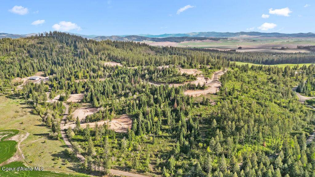 Plummer, ID 83851,Lot 12 Lone Moose Dr