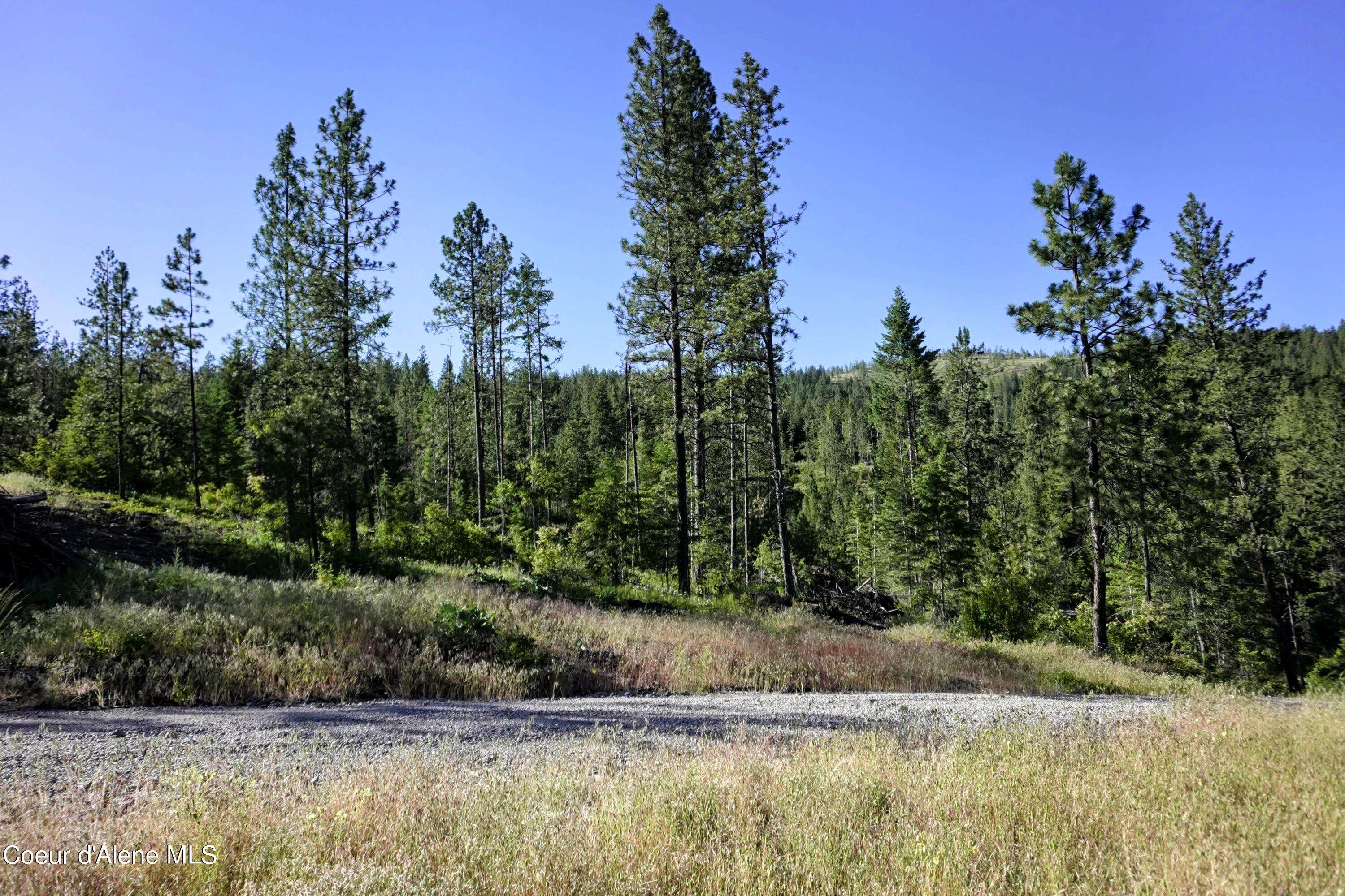 Blanchard, ID 83804,NKA USFS 2550