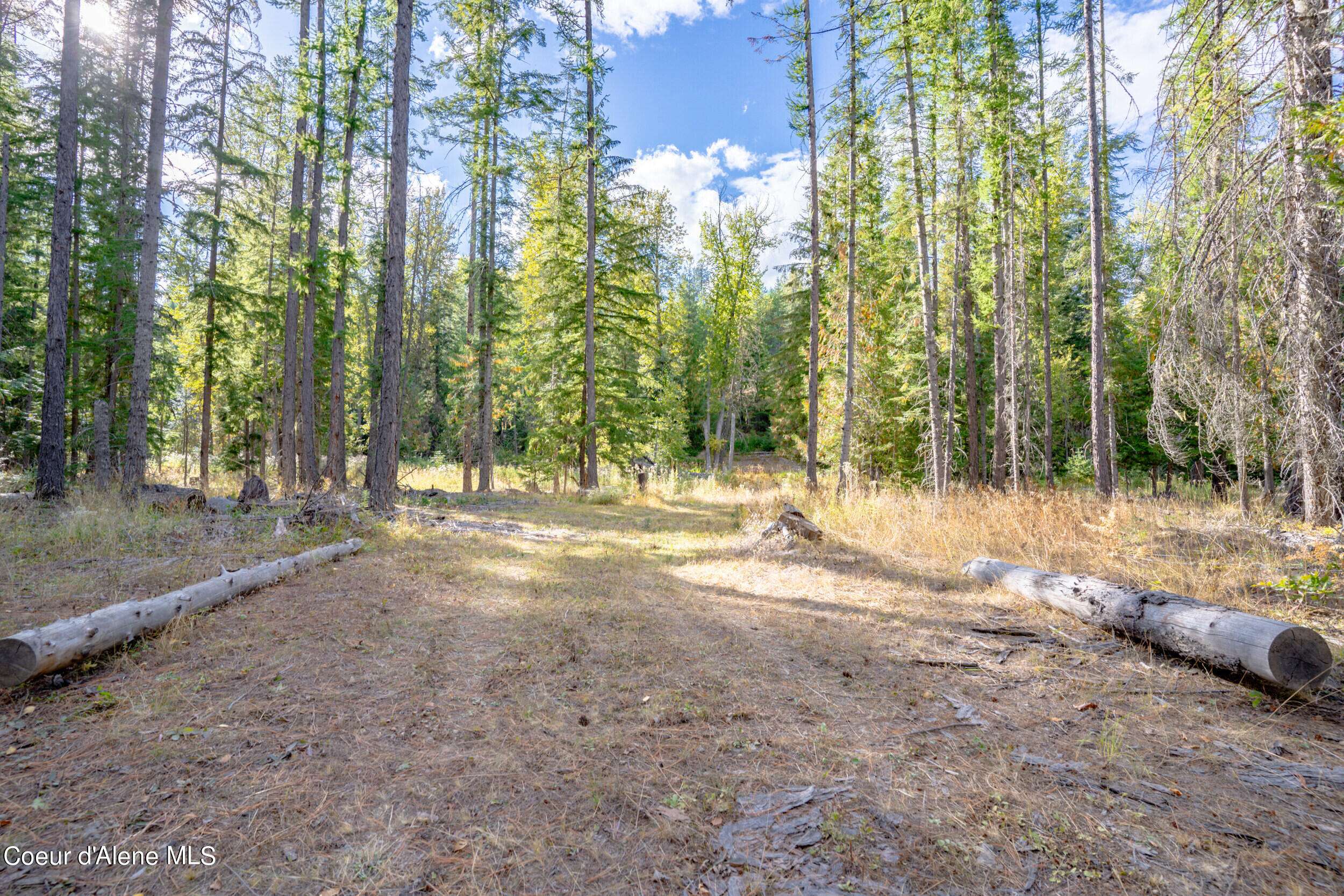 Priest River, ID 83856,221 Tanglewood Dr