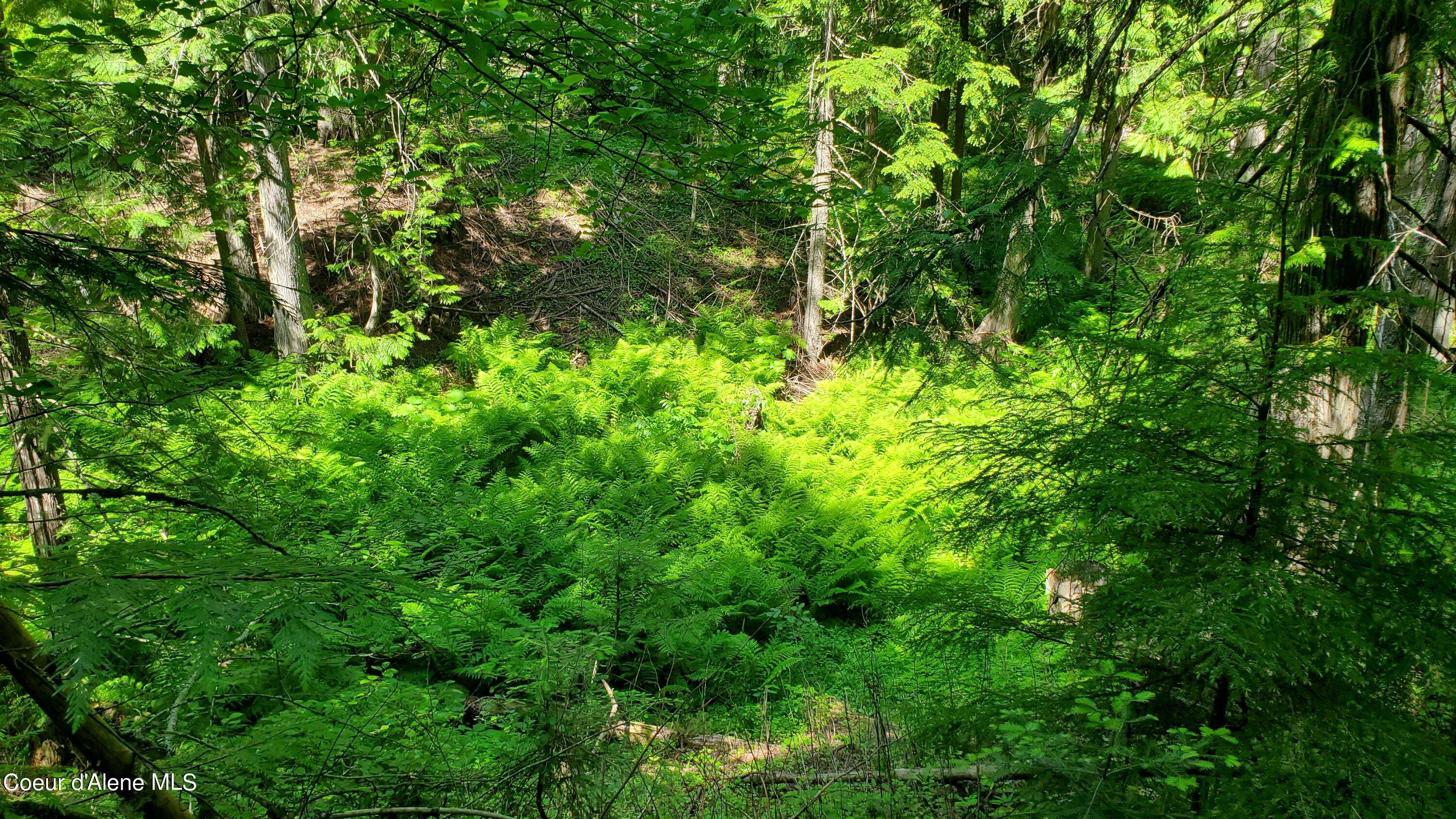 Athol, ID 83801,NKA E. Trout Pond