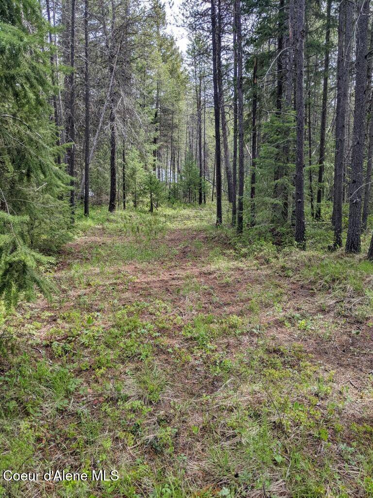 Priest River, ID 83856,665 Wakena LN