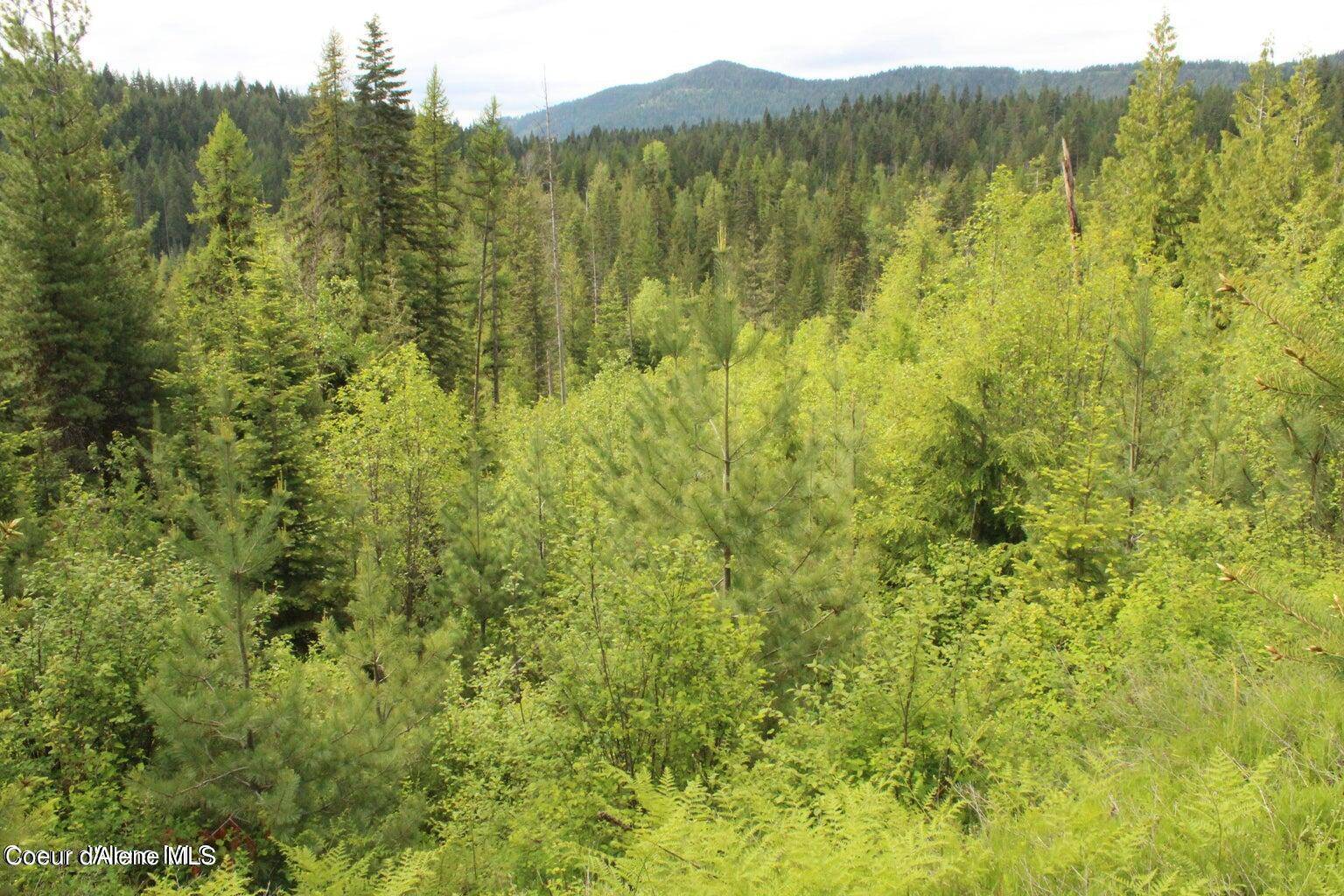 Priest River, ID 83856,NKA Ropp Rd.