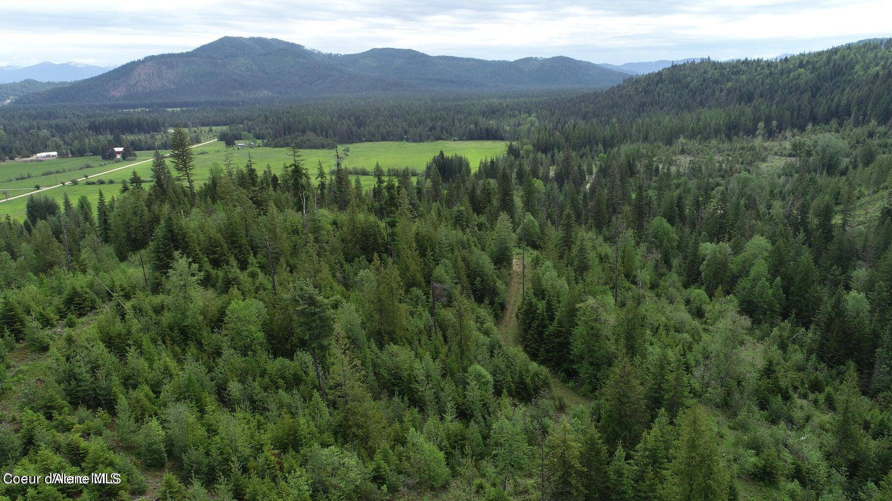 Priest River, ID 83856,NKA Ropp Rd.