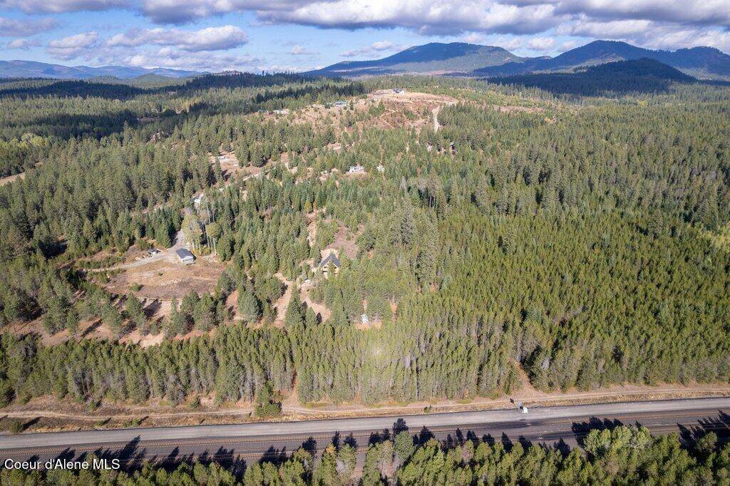 Athol, ID 83801,NKA Grand Fir