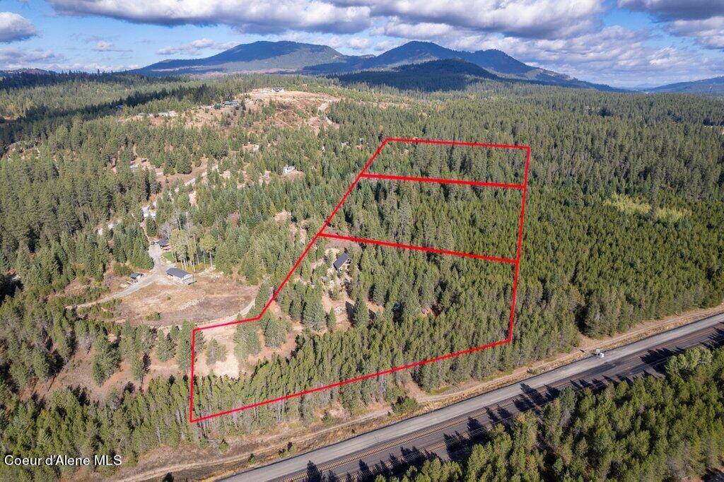 Athol, ID 83801,NKA Grand Fir