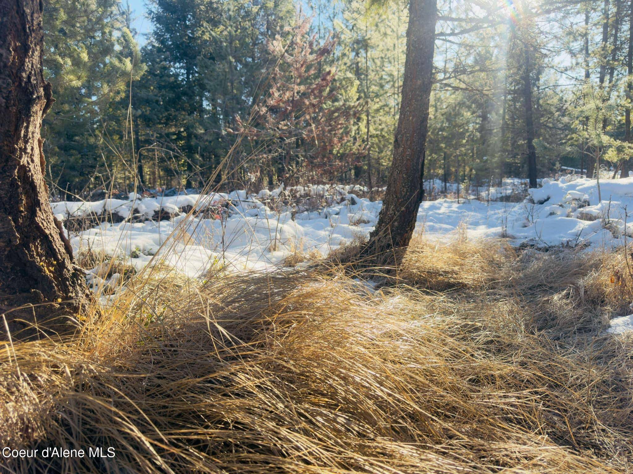 Priest River, ID 83856,NKA Backroads, Tract 2 WAY