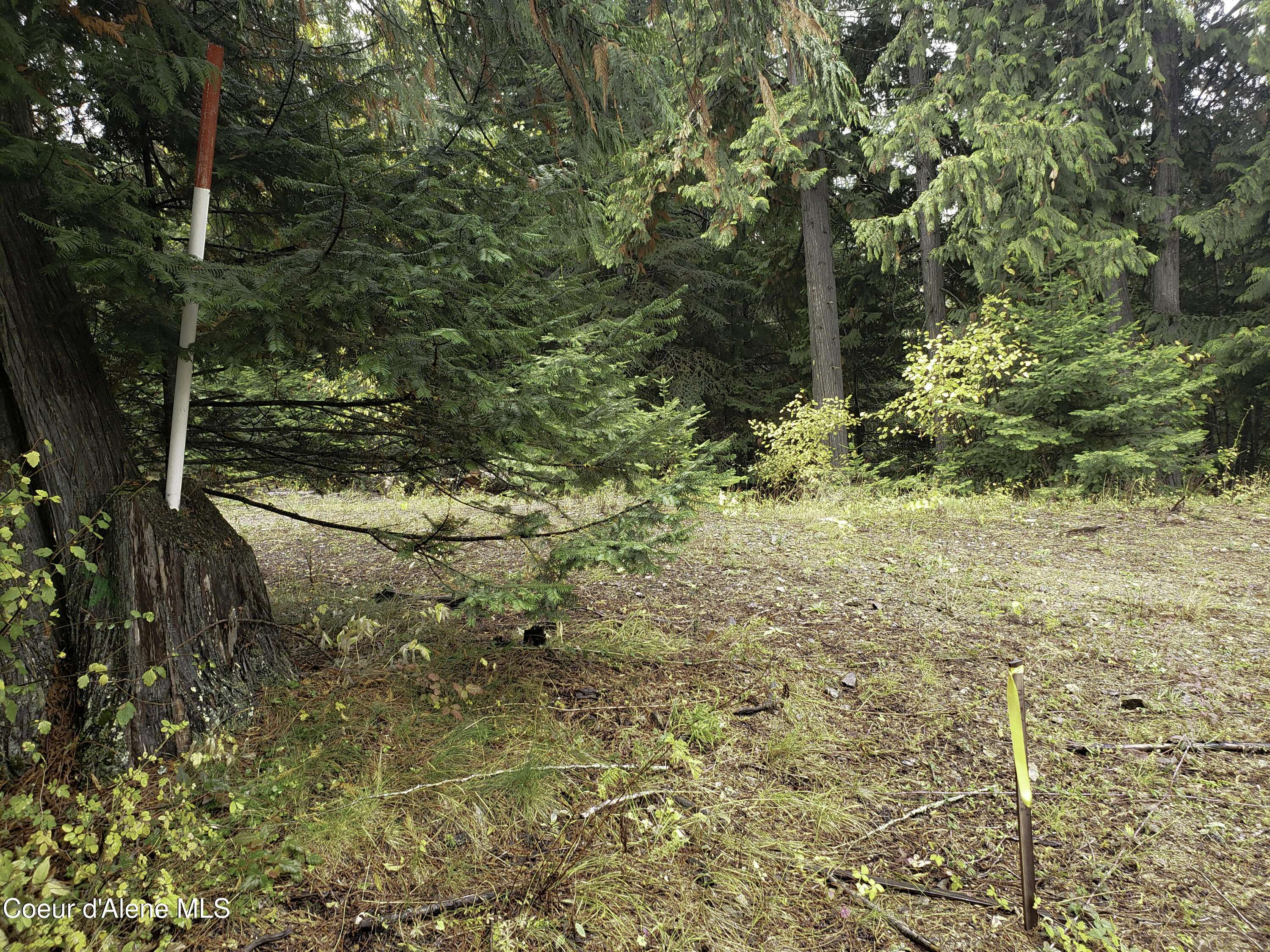 Sandpoint, ID 83864,NKA White Cloud Dr