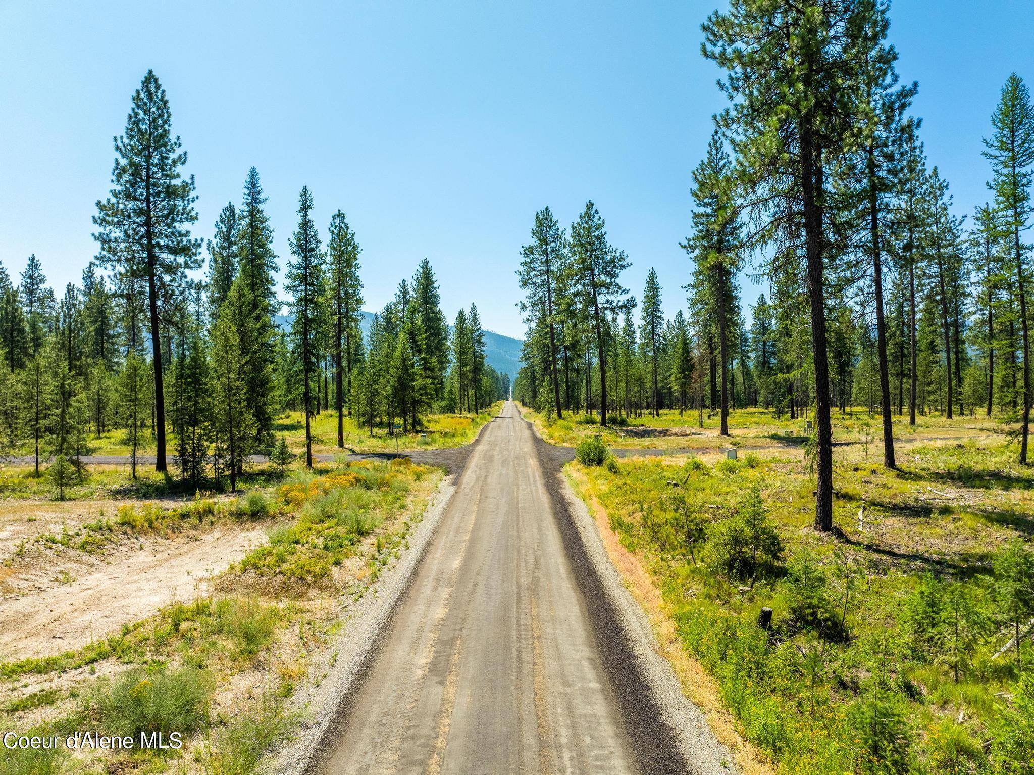 Blanchard, ID 83804,L1B1 Cannon Ln