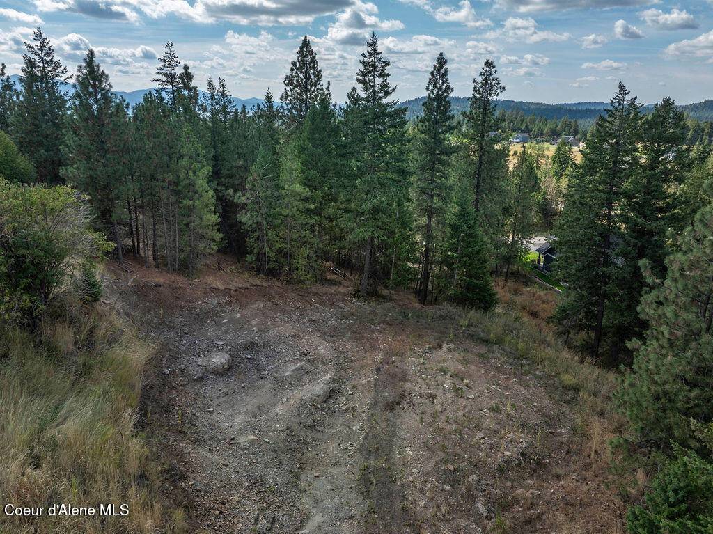 Rathdrum, ID 83858,L6B5 N Spiral Ridge Trl