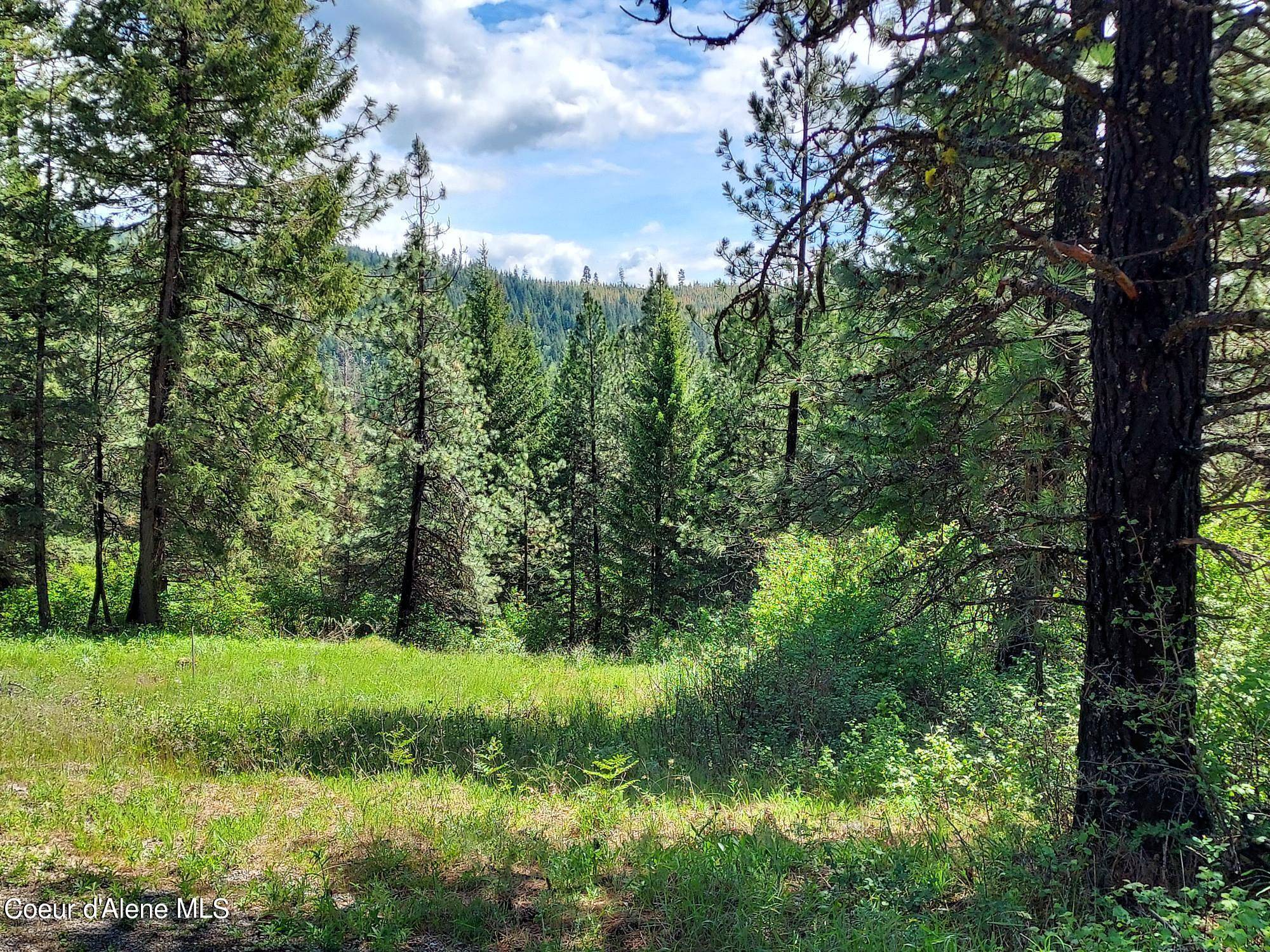 Harrison, ID 83833,NKA E CANTON LN