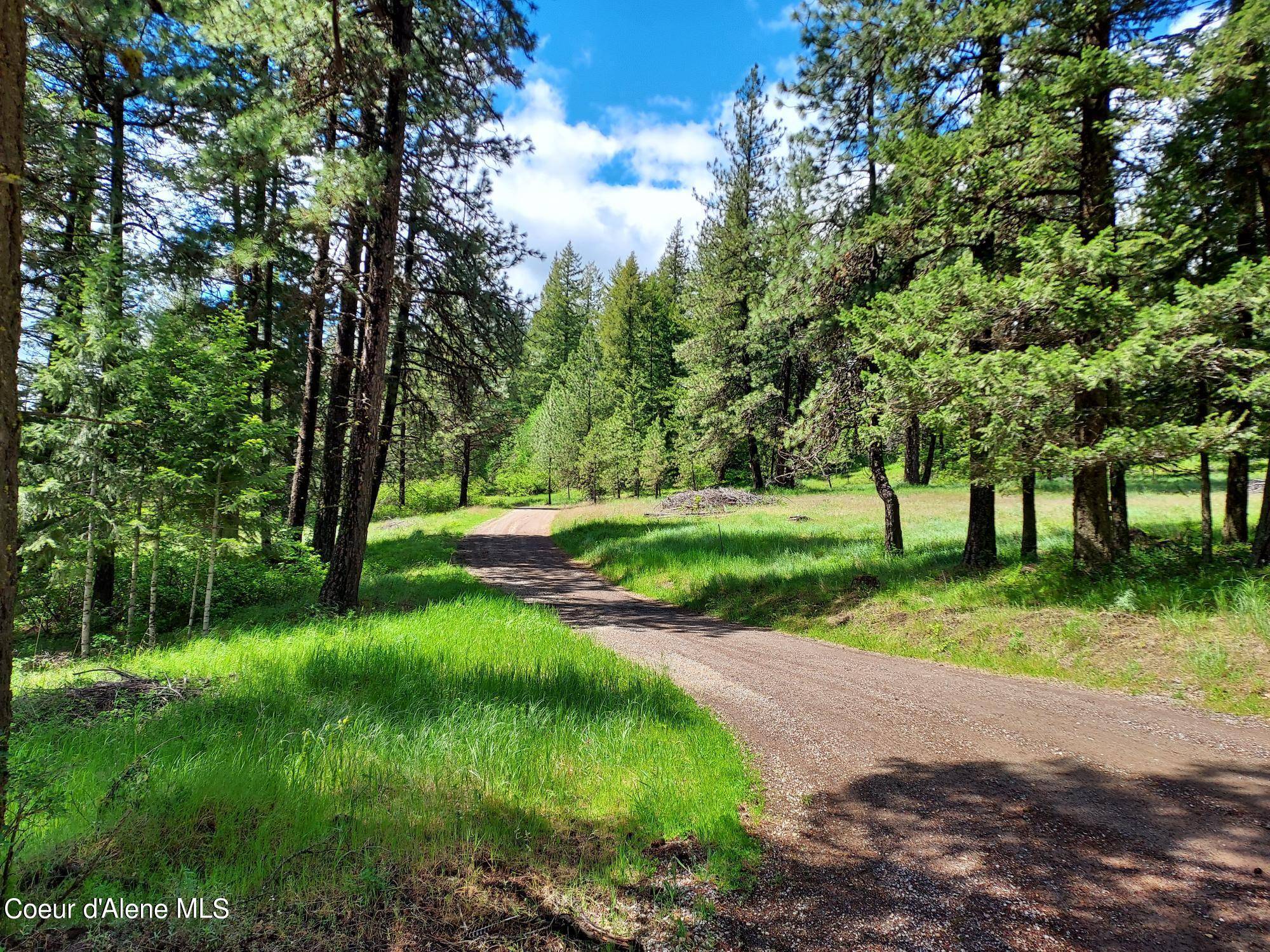 Harrison, ID 83833,NKA E CANTON LN