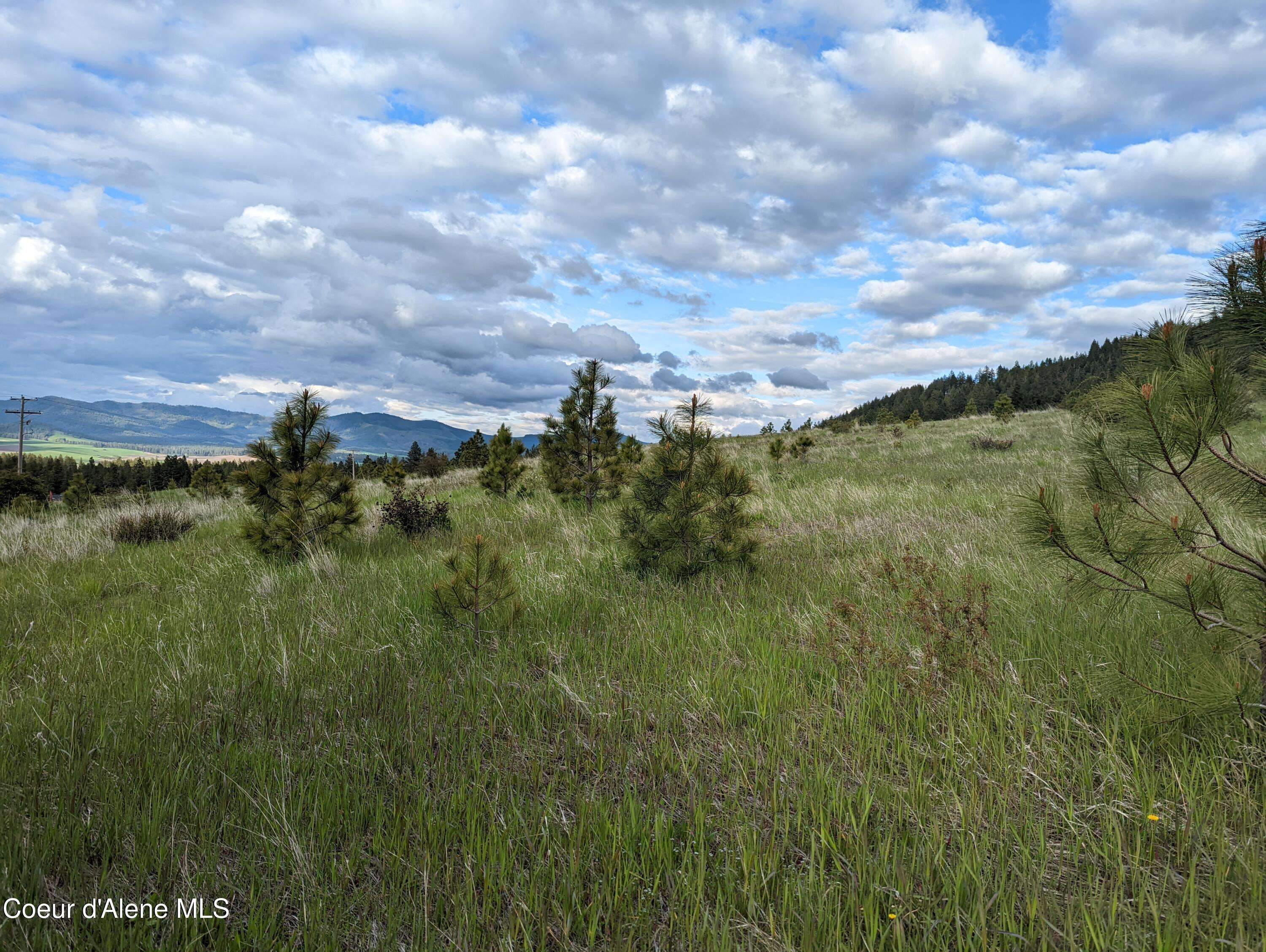 Desmet, ID 83824,2614 Desmet Rd