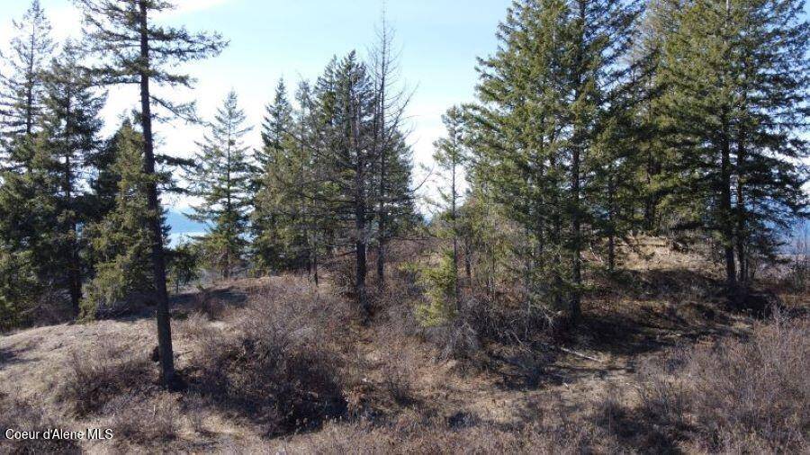 Sandpoint, ID 83864,NNA T1-B Green Monarch