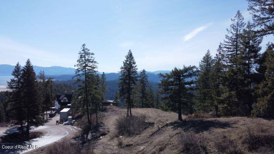 Sandpoint, ID 83864,NNA T1-B Green Monarch