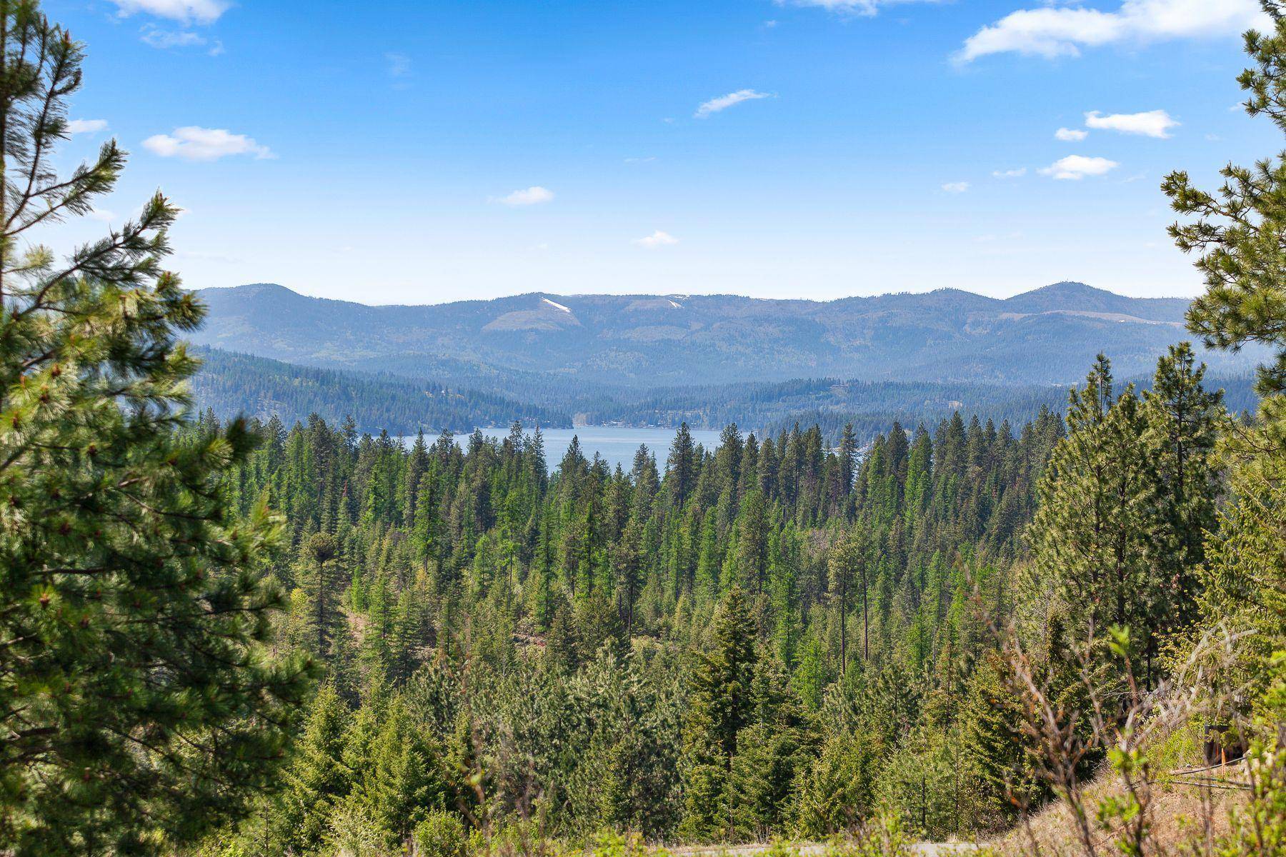 Harrison, ID 83833,2273 Echo Canyon Dr