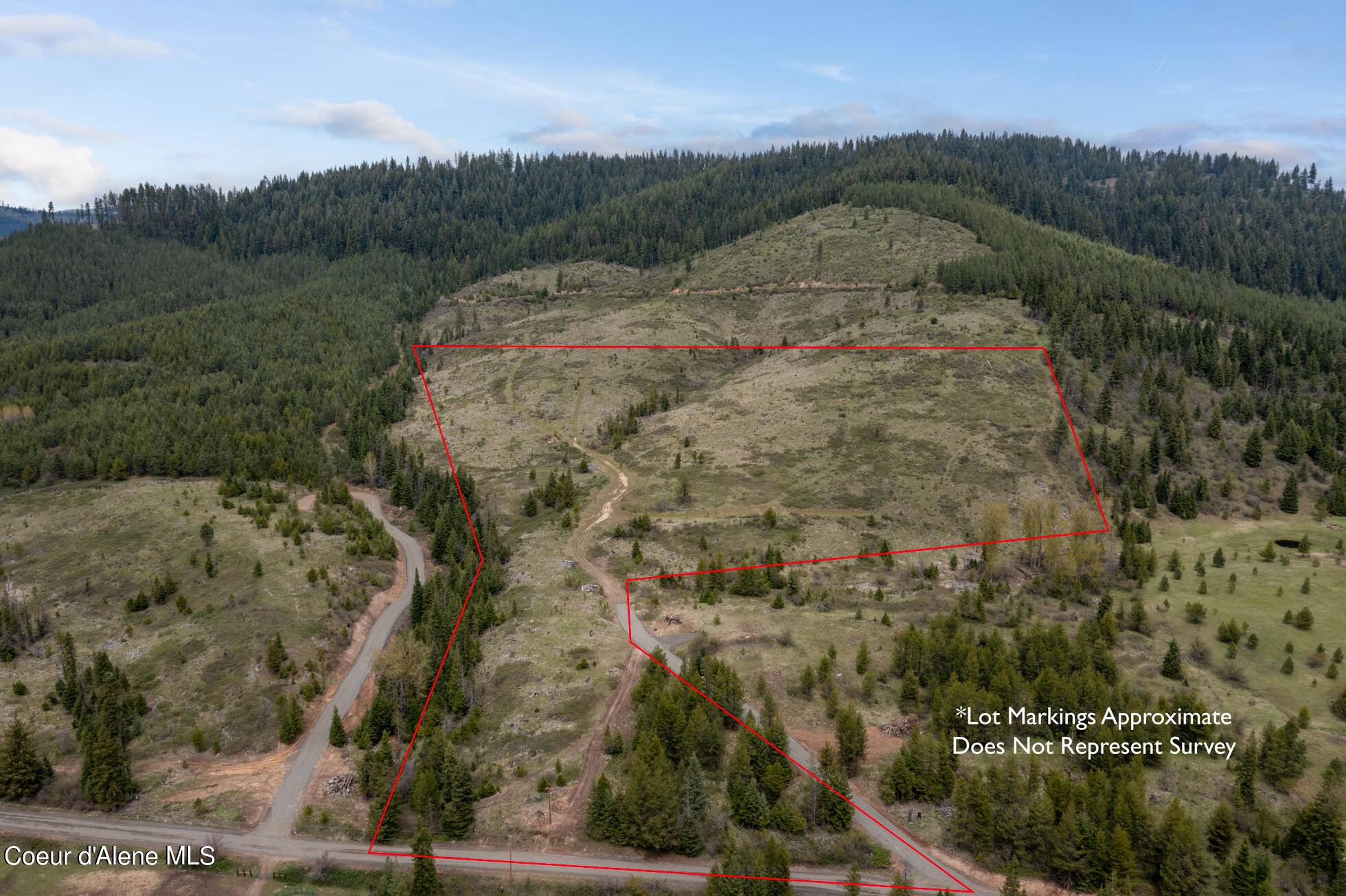 Santa, ID 83866,1175 Sheep Creek Parcel E