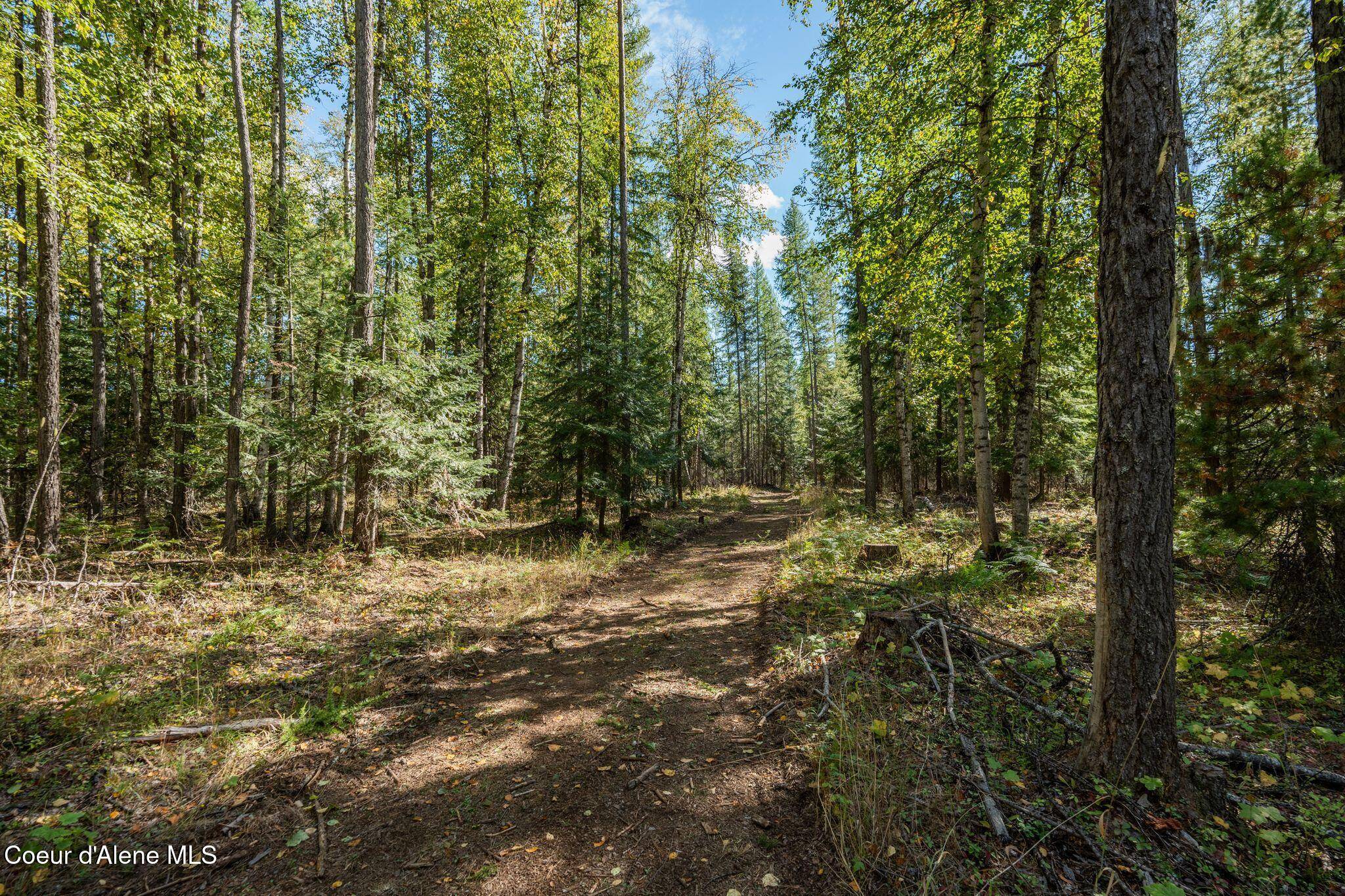 Priest River, ID 83856,Lot 1 Gunsmoke Lane