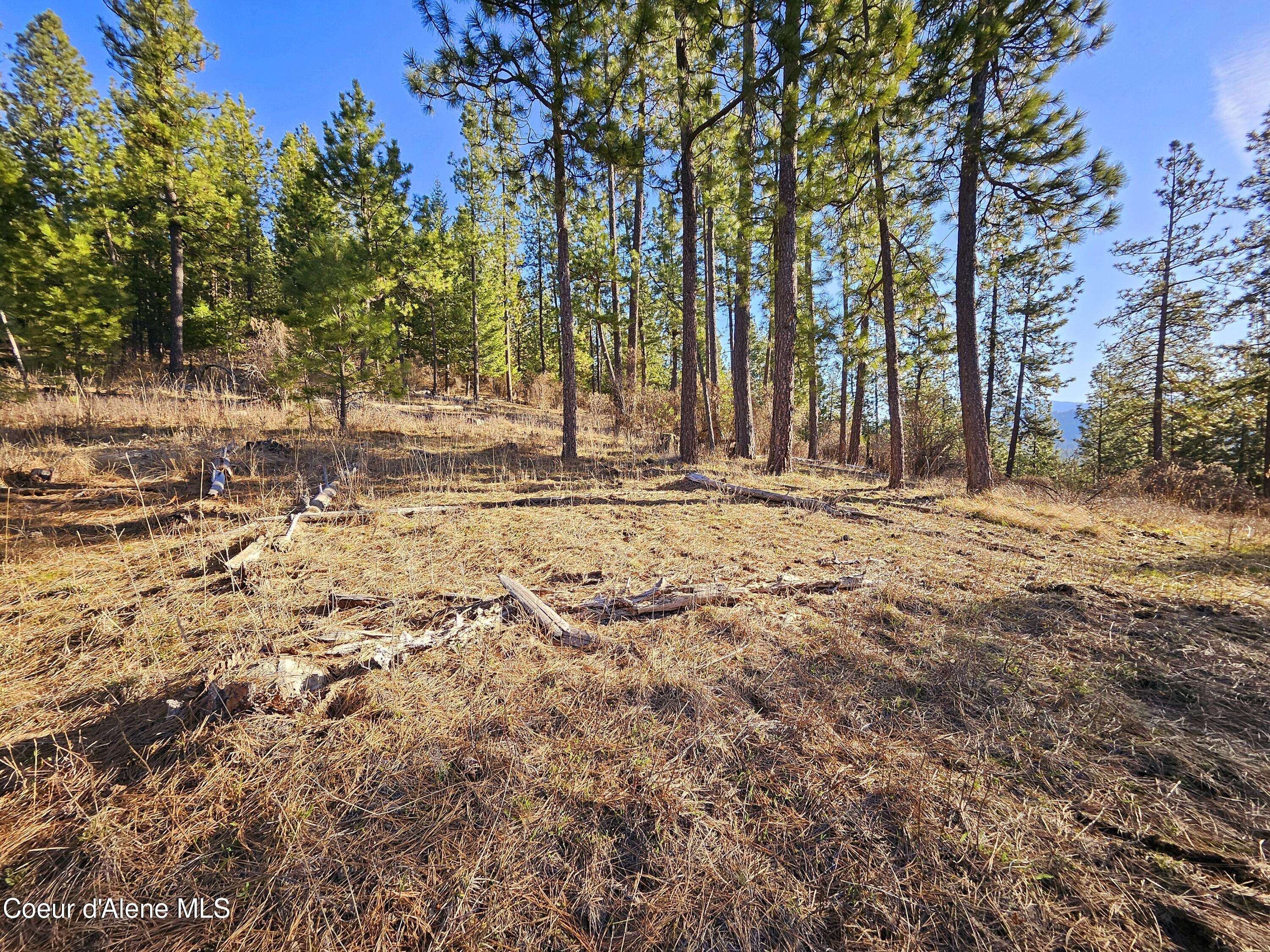 St. Maries, ID 83861,NNA Soaring Hawk Ln