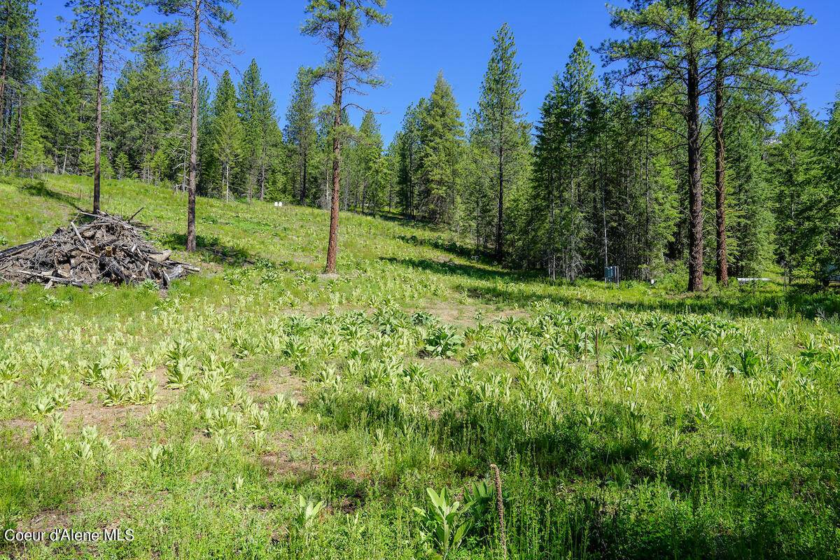 Blanchard, ID 83804,NKA Meadowland Drive
