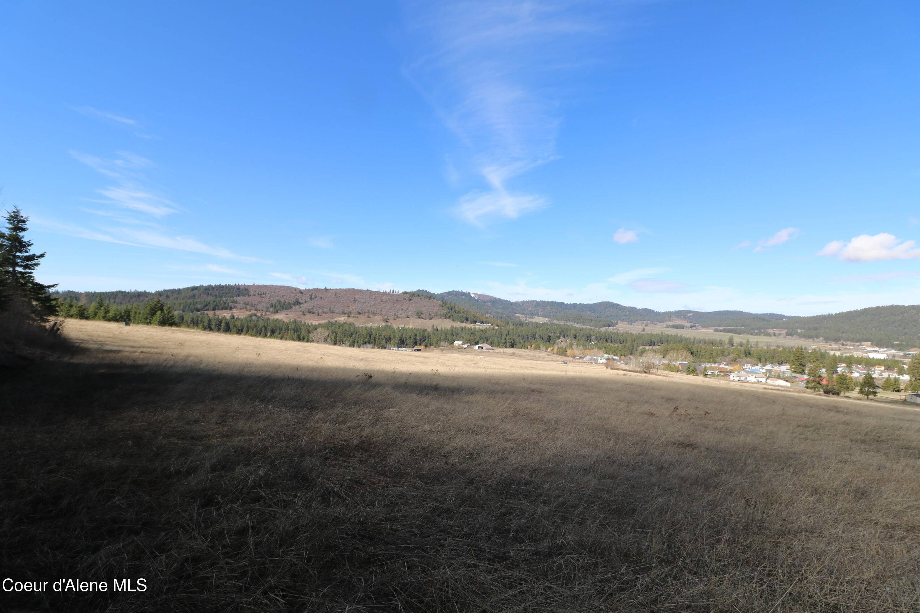 Plummer, ID 83851,Tract 4 Thimbleberry Ln