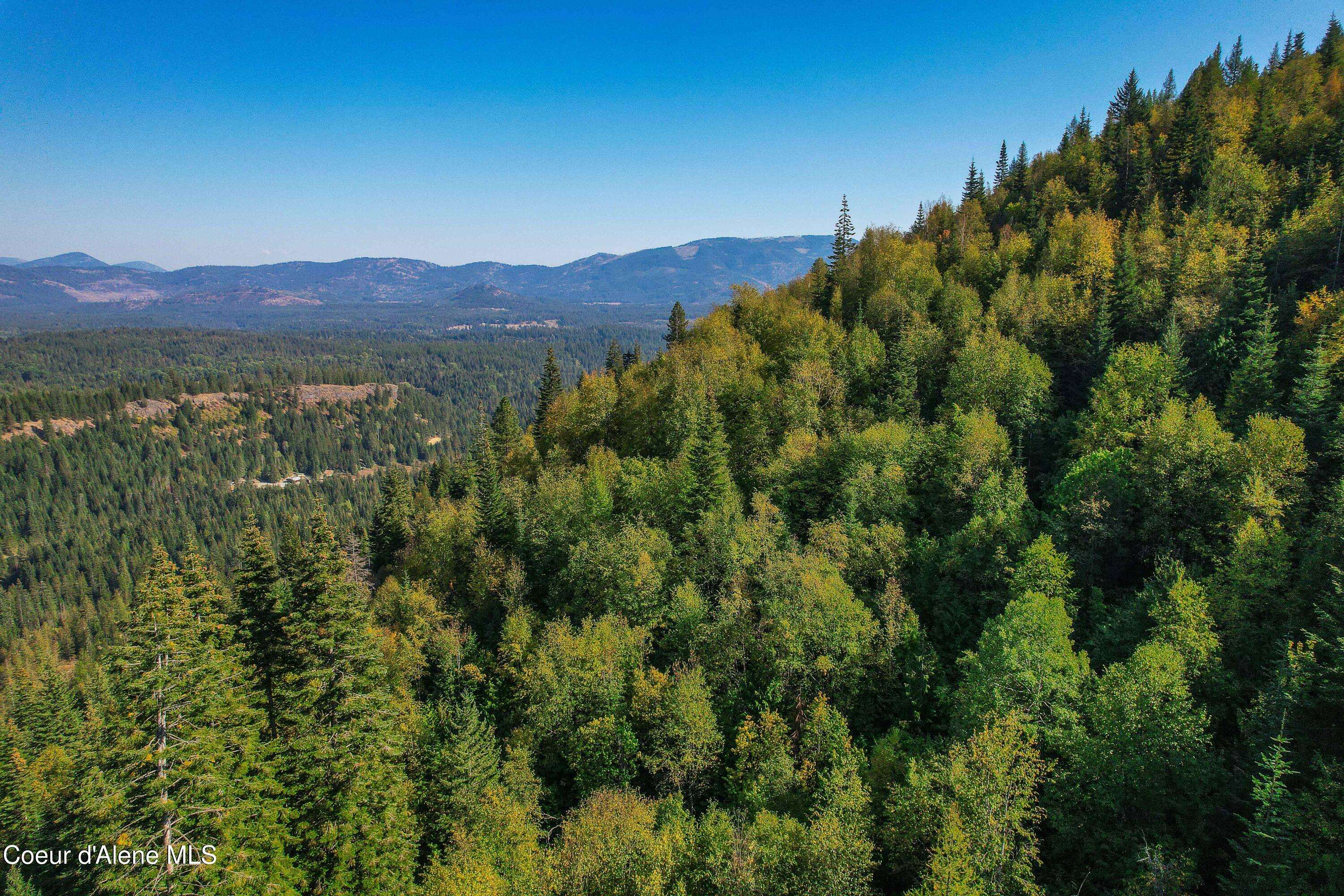Priest River, ID 83856,NKA Bodie Canyon RD