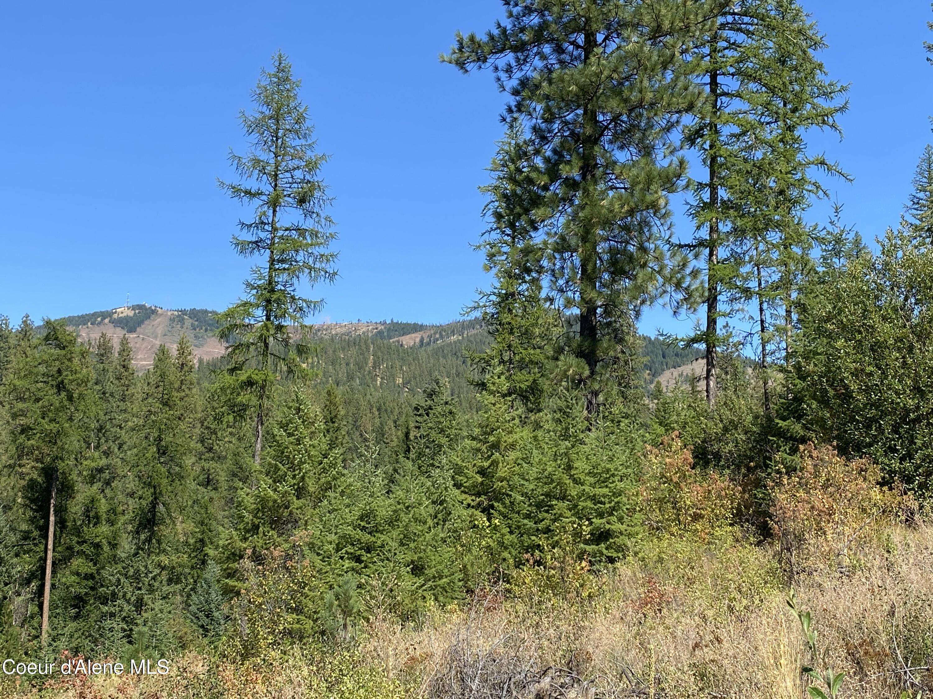 Blanchard, ID 83804,NNA Stone Rd Lot 2