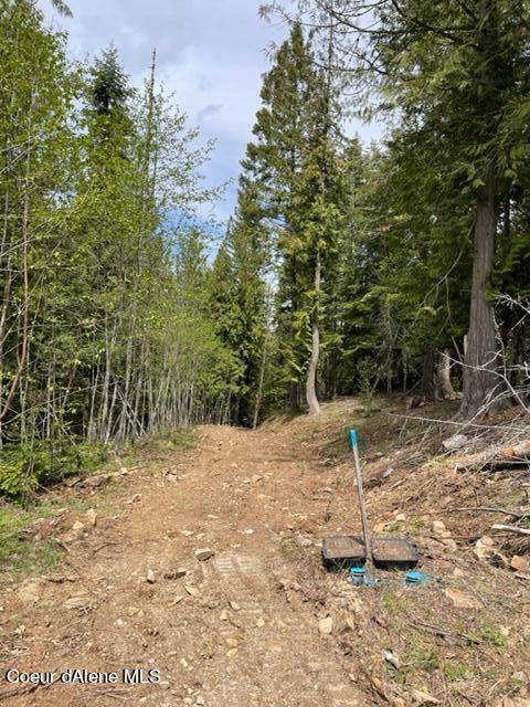 Sandpoint, ID 83864,NNA C37 White Cloud Drive