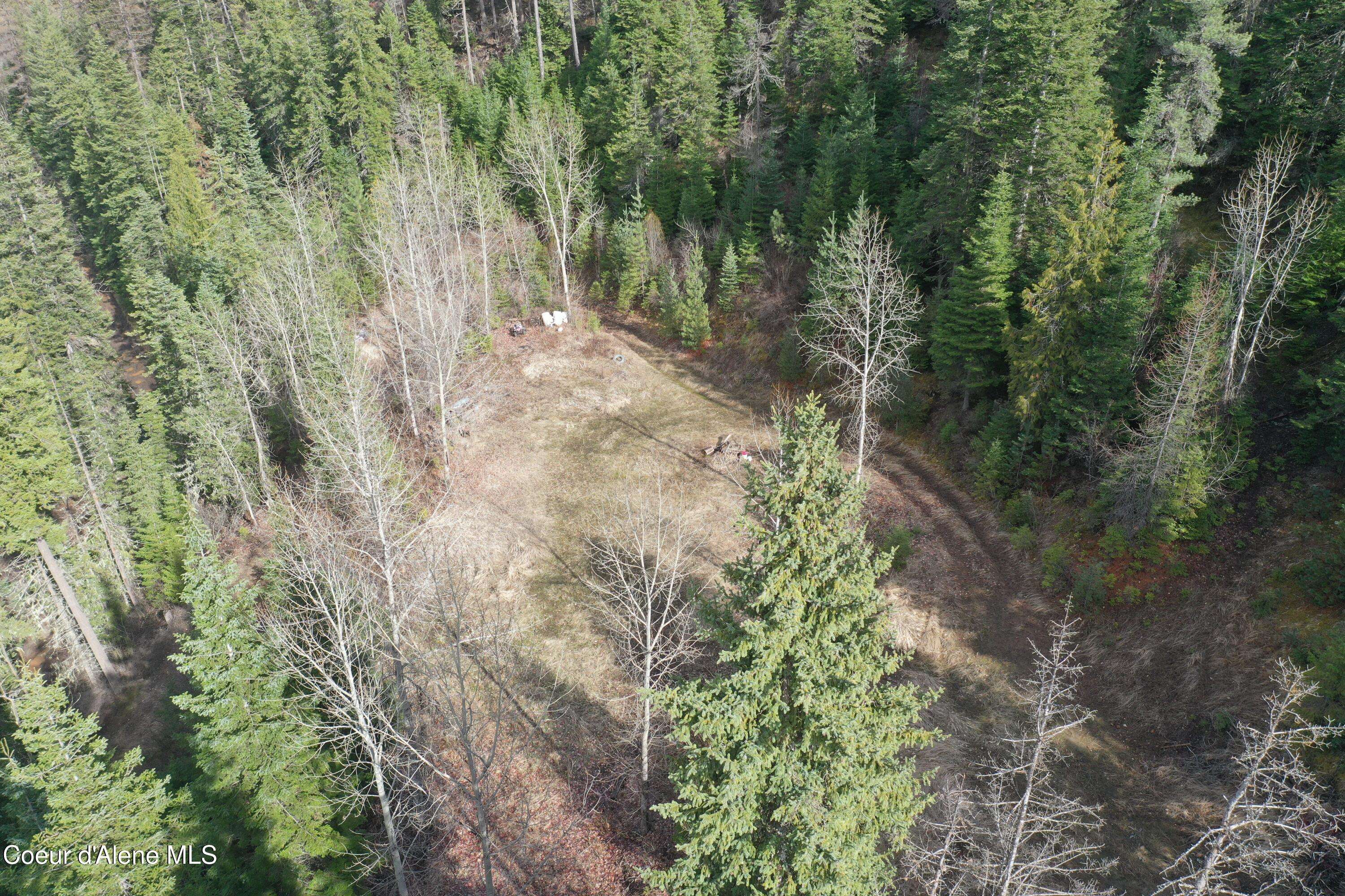 St. Maries, ID 83861,176 Blake Creek Rd