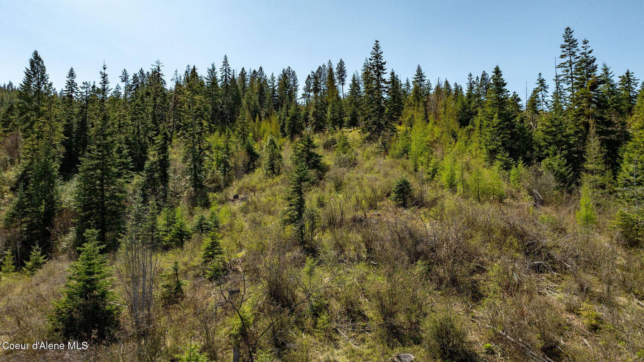 Post Falls, ID 83854,11817 W Garrett Ct